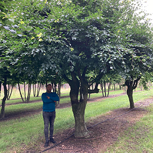 speciale planten kopen